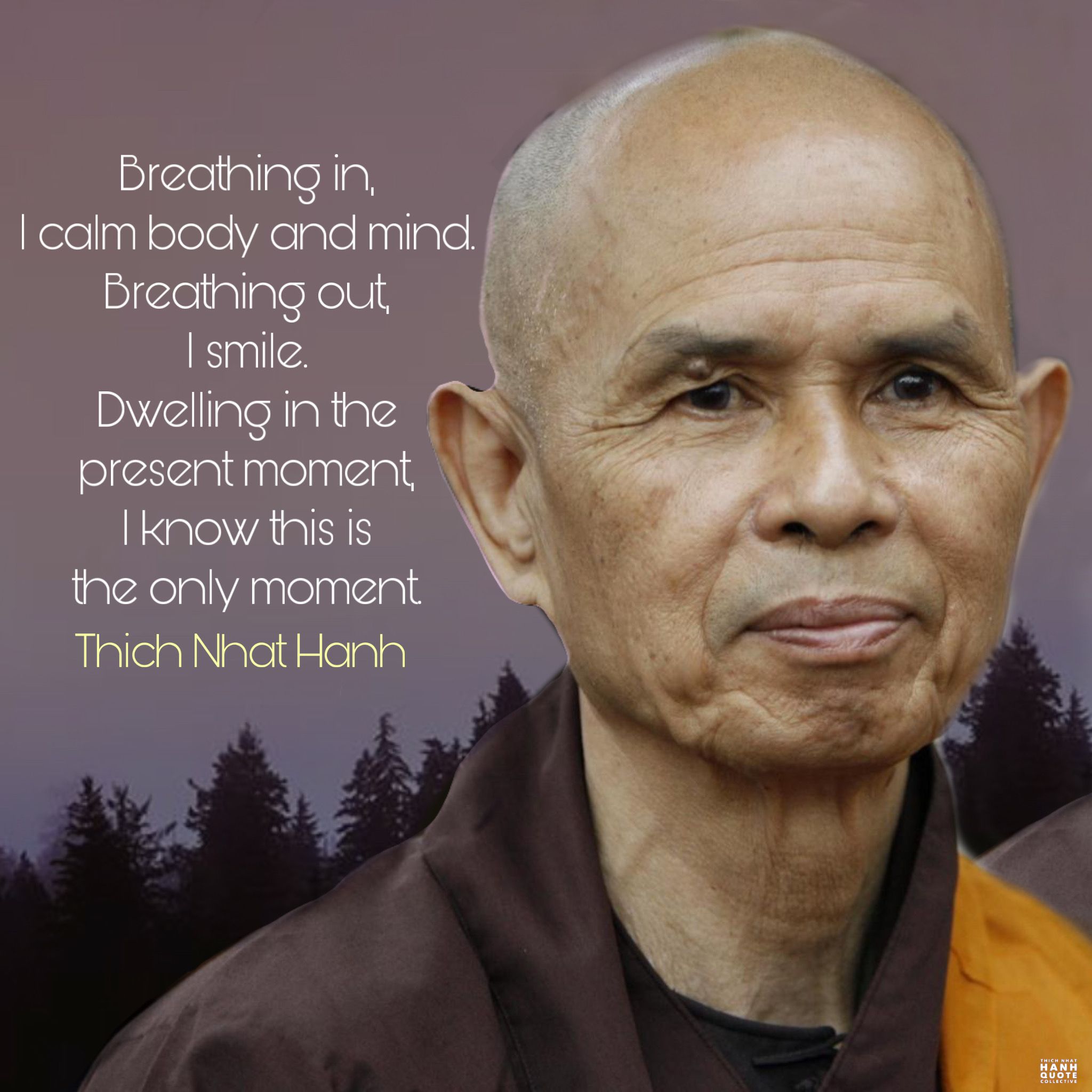 The Passing of Thich Nhat Hanh 