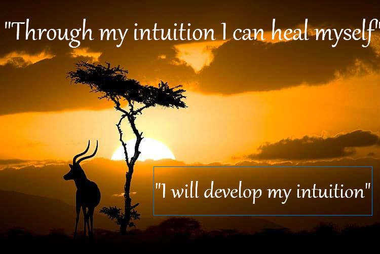I Am Not a Healer - Providence Life Coaching & Reiki Counseling