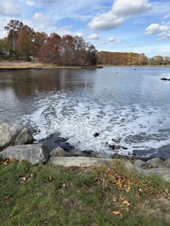 Walk & Talk Counseling - Michael Swerdloff - Providence Holistic Counselor, Coach and Reiki