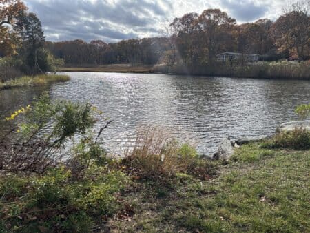 Walk & Talk Counseling - Michael Swerdloff - Providence Holistic Counselor, Coach and Reiki