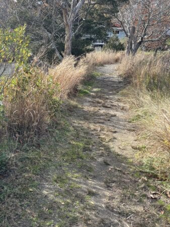 Walk & Talk Counseling - Michael Swerdloff - Providence Holistic Counselor, Coach and Reiki