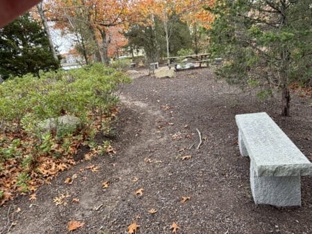 Walk & Talk Counseling - Michael Swerdloff - Providence Holistic Counselor, Coach and Reiki